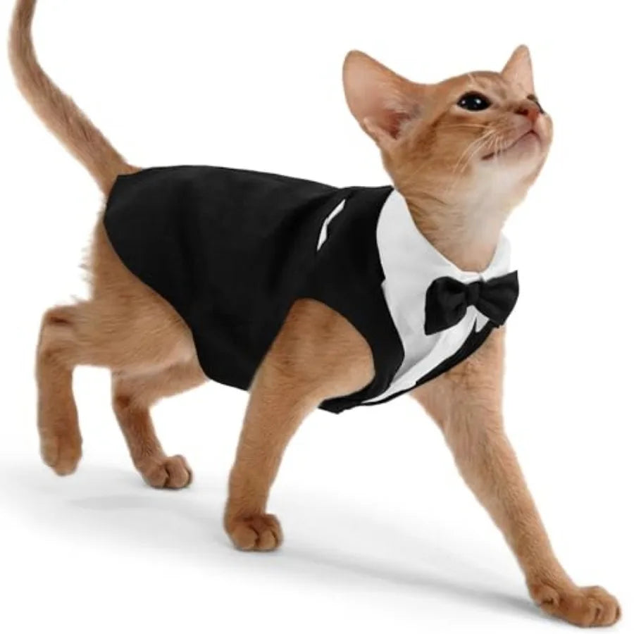 Cat Tuxedo Suit Formal Wear with Bow Tie, Soft Skin-Friendly Cat Costumes for Cats Only, Elegant Outfit for Male Female Cats, P