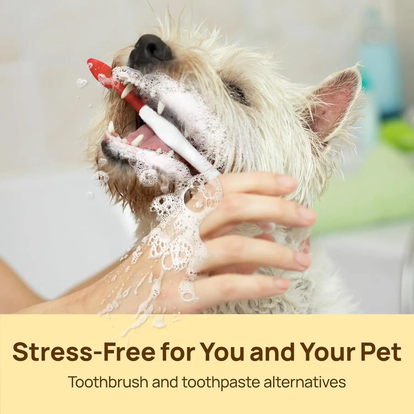 Pet Teeth Cleaning Wipes for Dogs and Cats Vet Recommended
