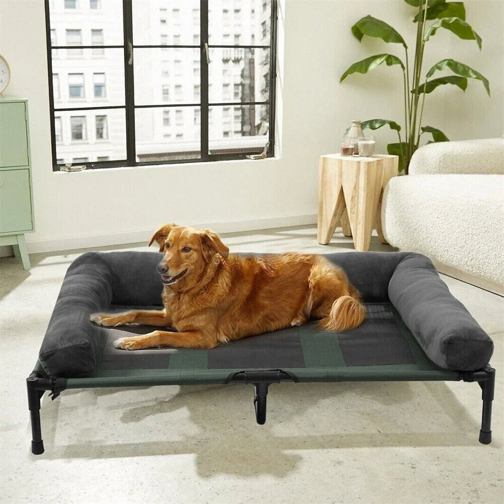 Golden retriever resting on an elevated outdoor dog bed