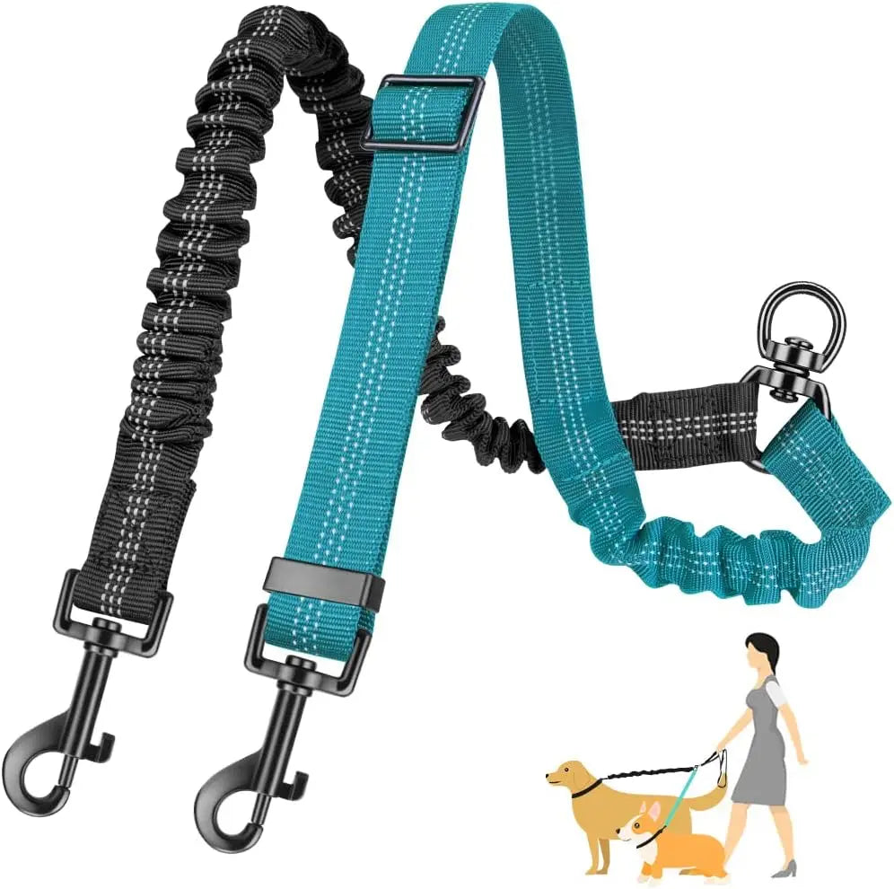Dual Dog Leash Attachment For Training With Shock Absorbing Bungee