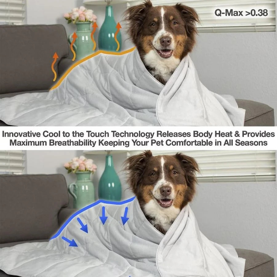 Premium Cooling Blanket For Cats And Dogs