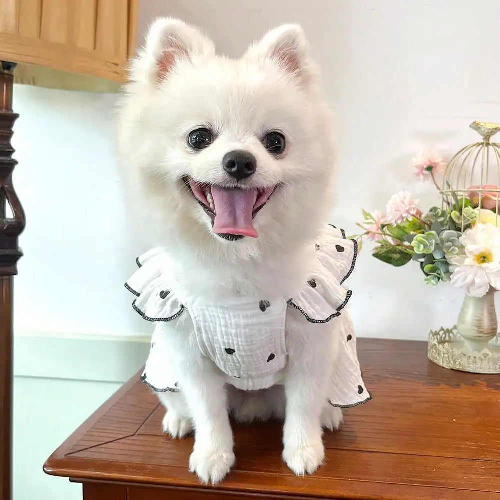 Heart Print Dress for Small Dogs and Cats