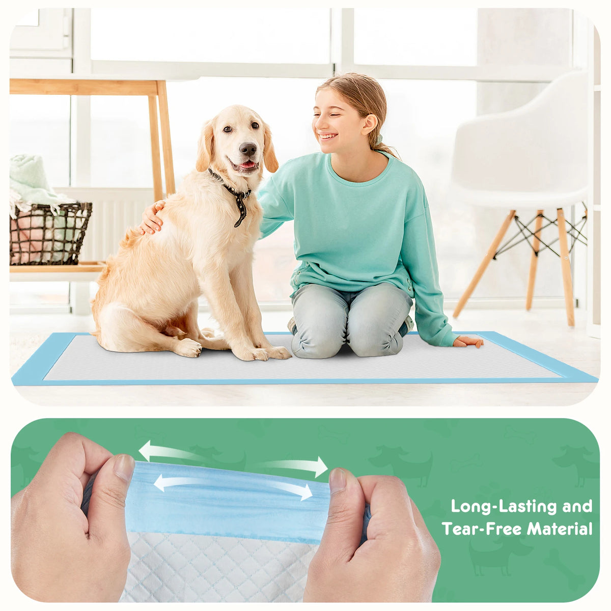 Disposable Dog Training Pee Pads, 22 x 22 in