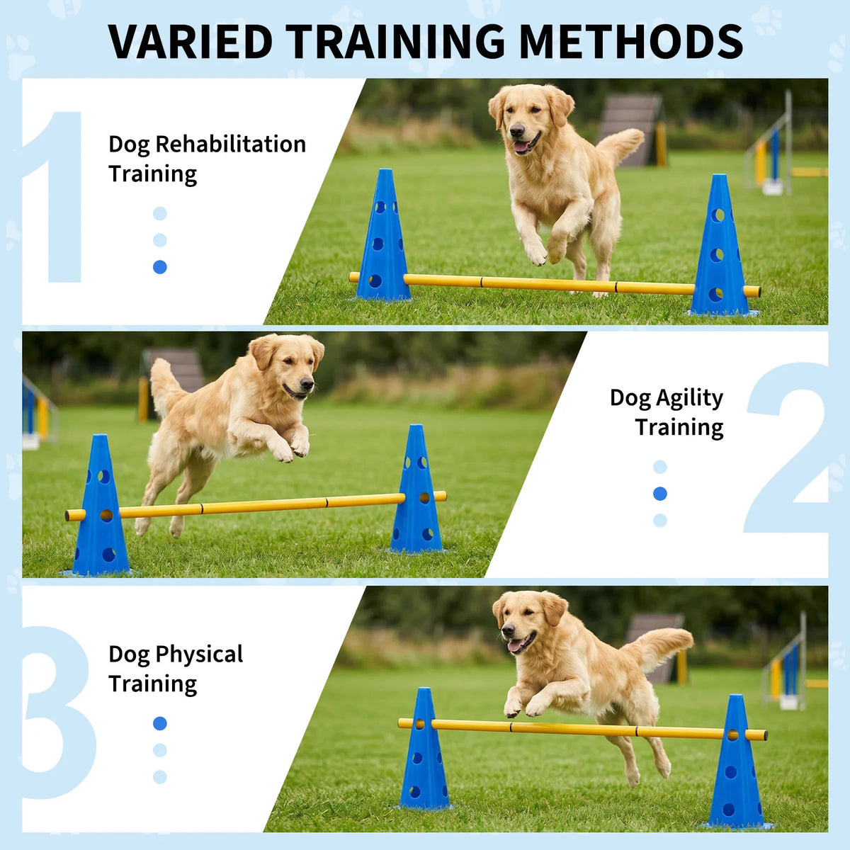 Dog Agility Training Set with Cones and Hurdles