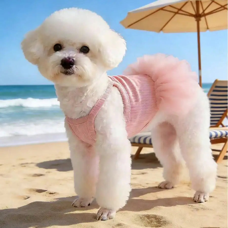Ballet Tulle Princess Dress for Small Dogs and Cats