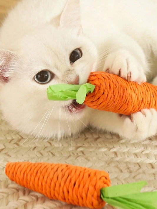 Carrot Paper Rope Cat Chew Toy