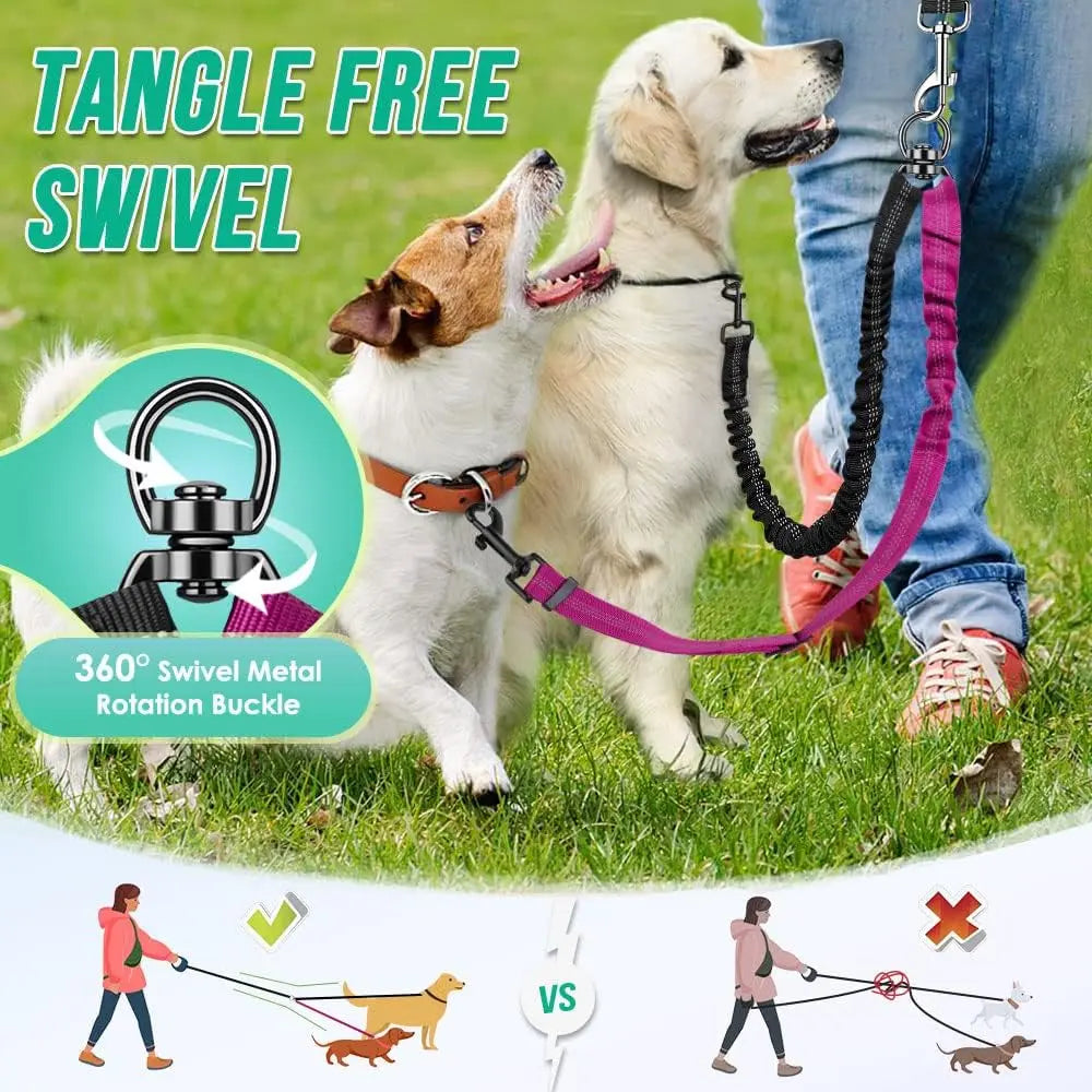 Dual Dog Leash Attachment For Training With Shock Absorbing Bungee