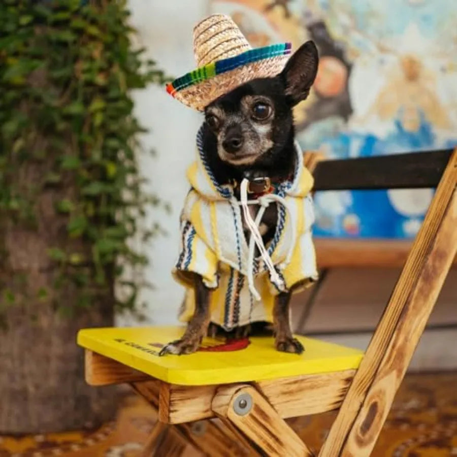 Pet Straw Hat Funny Mexican Sombrero Cap Party Decorations Cinco De Mayo Pet Hats for Small Pets/Puppy/Cat