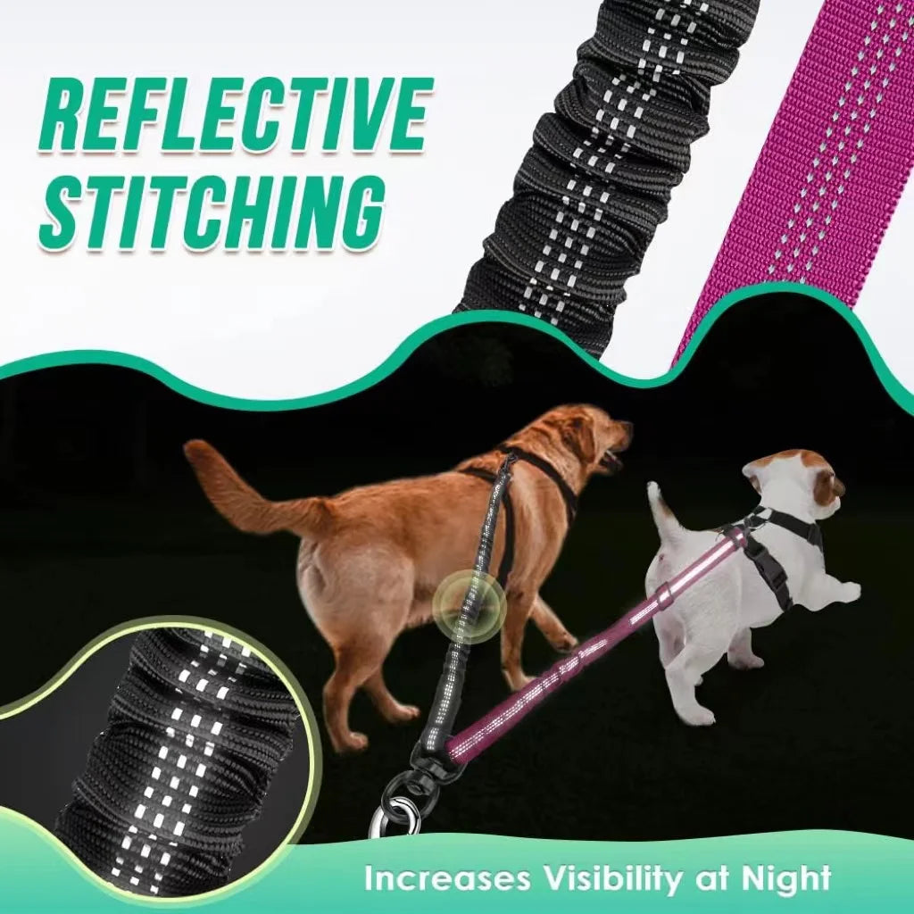 Dual Dog Leash Attachment For Training With Shock Absorbing Bungee