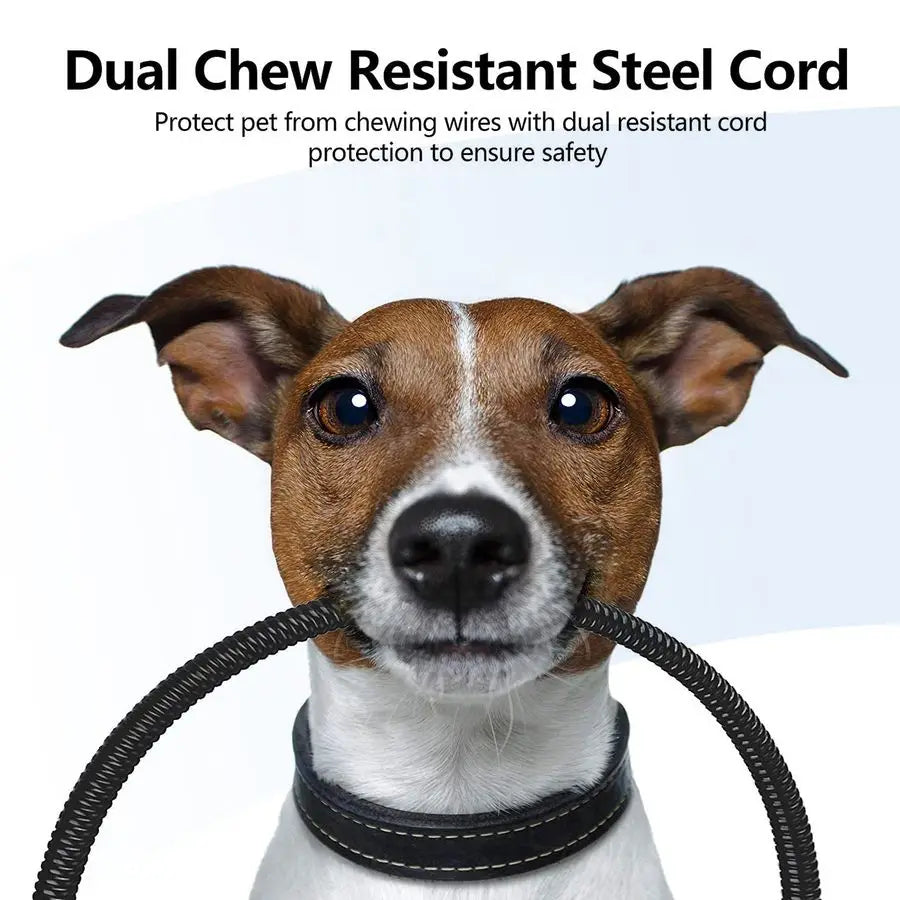 Pet Heating Pad With Temperature Control And Adjustable Timer