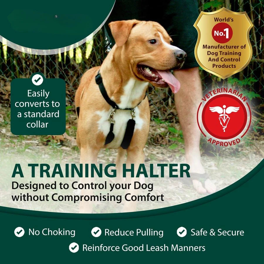 No Pull Training Halter Dog Harness With Padded Sherpa Sleeves