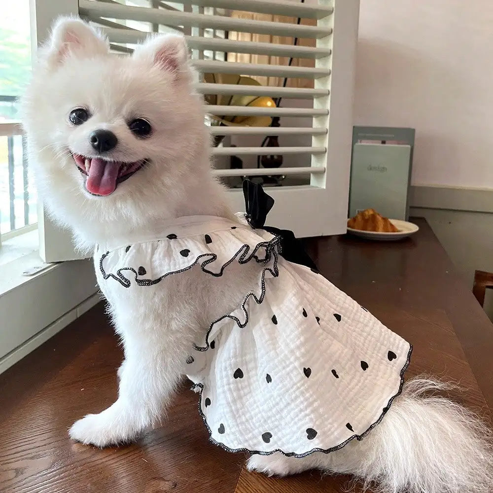 Heart Print Dress for Small Dogs and Cats