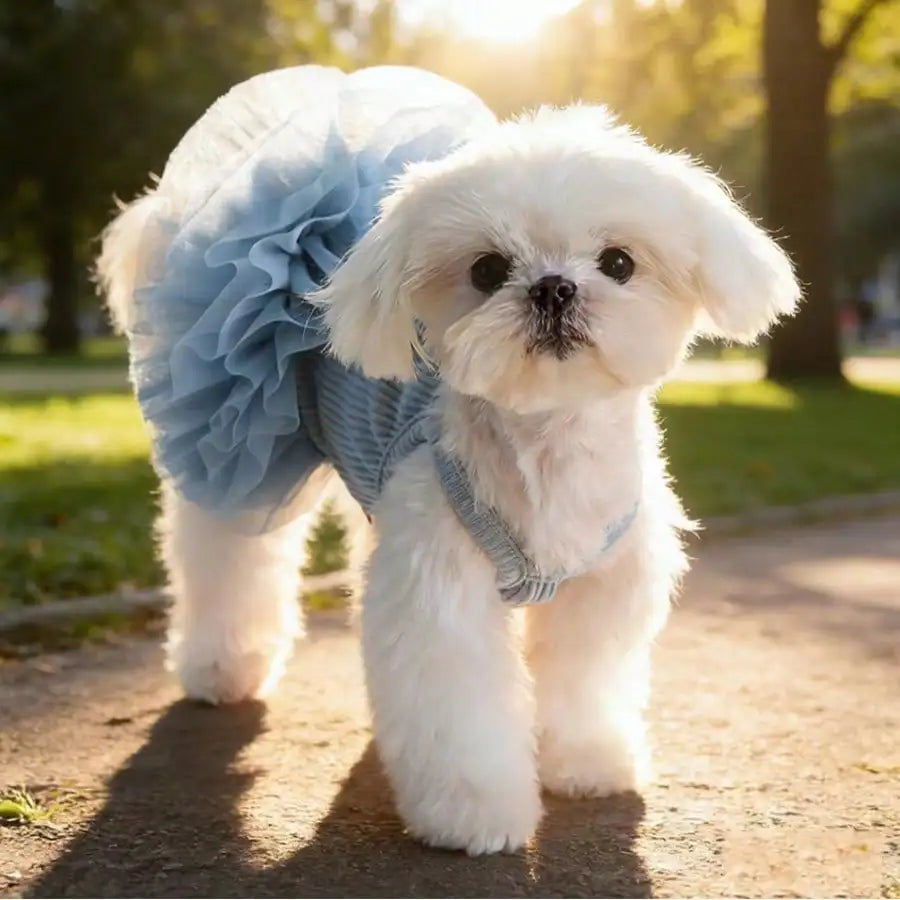Ballet Tulle Princess Dress for Small Dogs and Cats