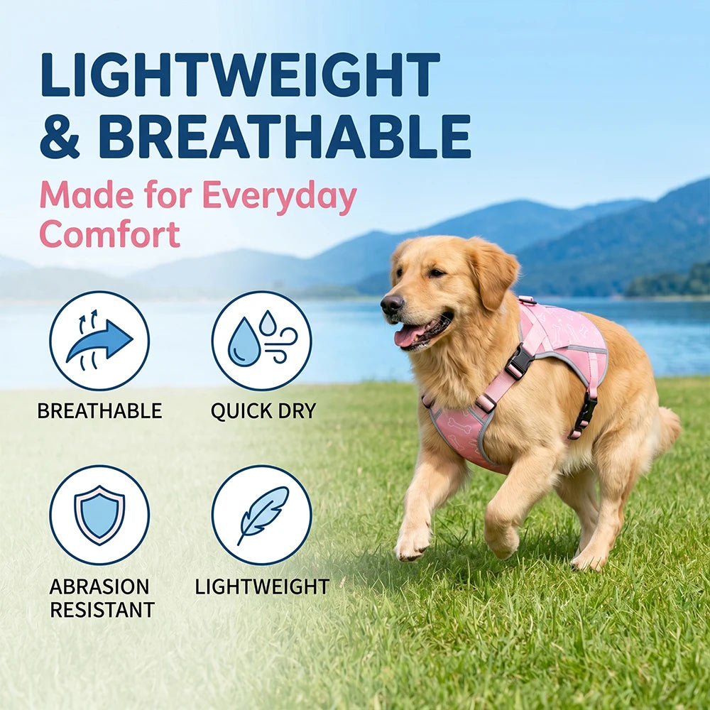 Cooling Vest Pet Cool During Walks Or At Home Features Replaceable Cooling Pack For Alaskan Malamutes, Golden, Border Outdoors