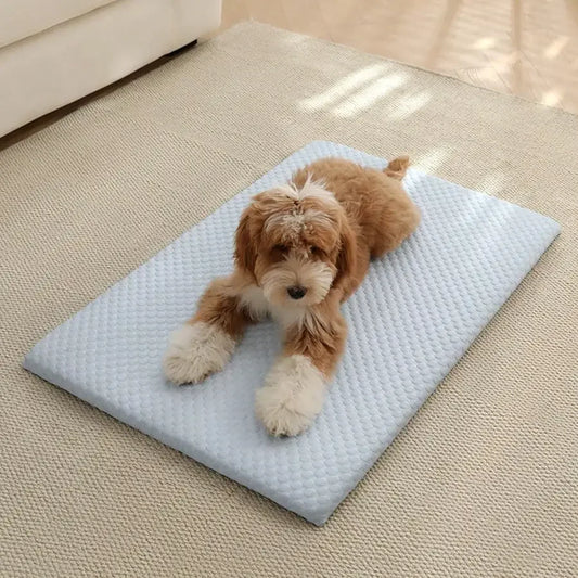 Cooling Sponge Cat Bed with Thick Non-Slip Padding
