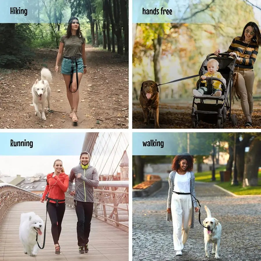 Hands Free Dog Leash Adjustable For Running And Training Made In USA