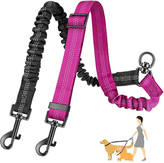 Dual Dog Leash Attachment For Training With Shock Absorbing Bungee