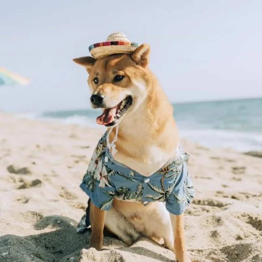 Pet Straw Hat Funny Mexican Sombrero Cap Party Decorations Cinco De Mayo Pet Hats for Small Pets/Puppy/Cat