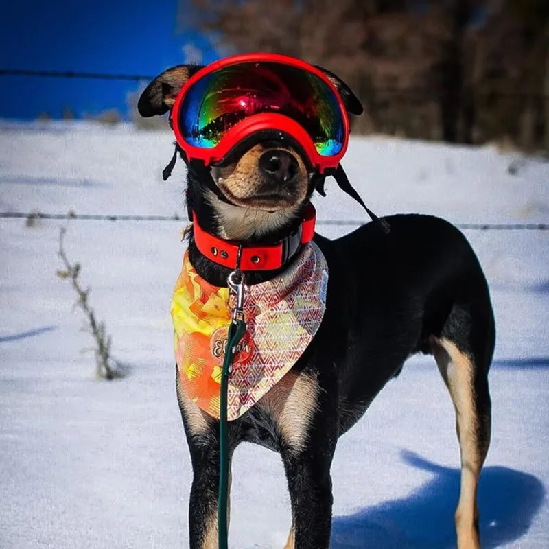 Dog Goggles Anti-UV Sun Glasses Eyewear Protection Adjustable Windproof Pet Dog Supplies For Travel