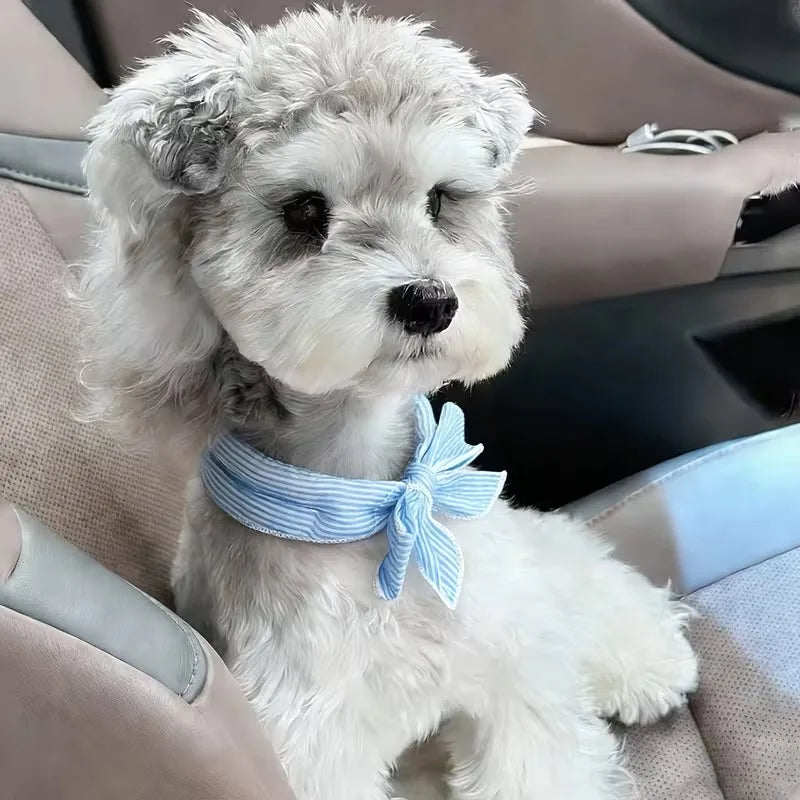 Pet Cooling Ice Scarf Cool Ice Breathable Towel Heatstroke Dogs Cats Ice Collar Cat Adjustable Collar Bib Pet Supplies
