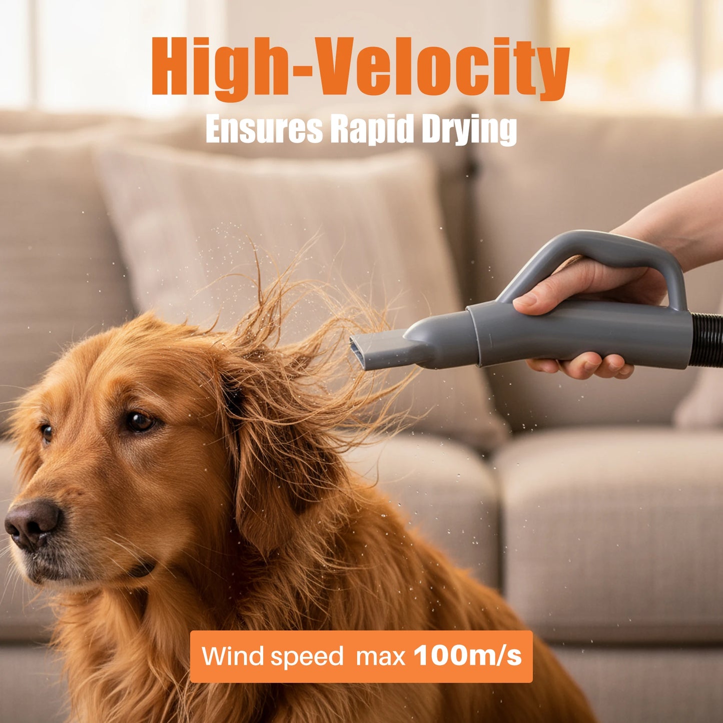 JHK 5-piece Pet Blow Dryer Grooming Vacuum Kit  4 Nozzles 6.5 FT Cord for Low Noise Dog Hair Dryer with Adjustable Cool-Warm-Hot