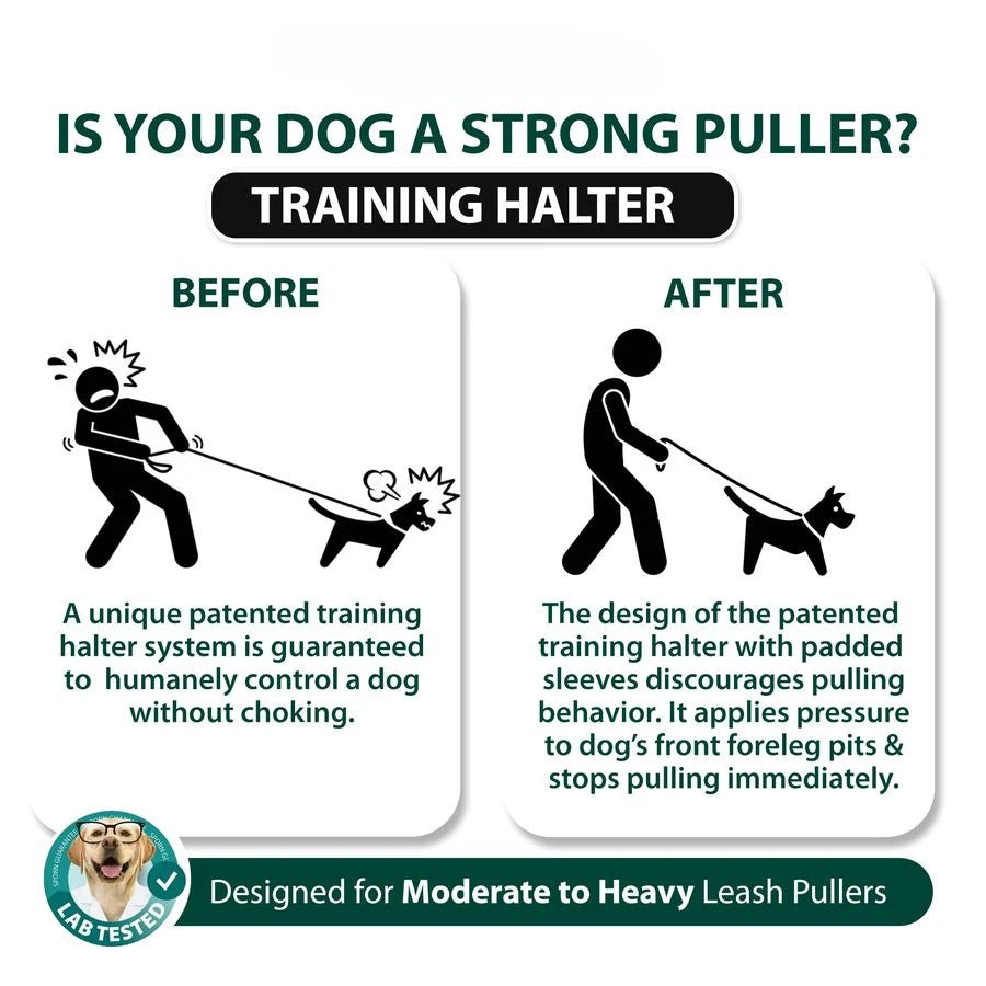 No Pull Training Halter Dog Harness With Padded Sherpa Sleeves