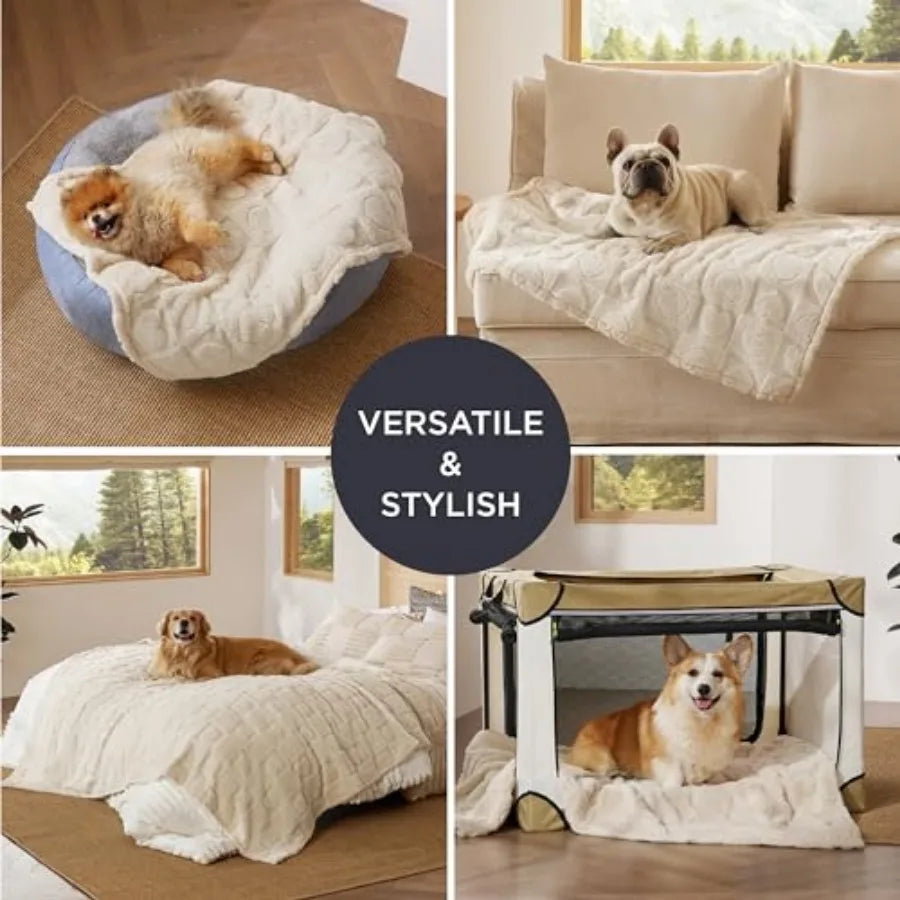 Dog Blankets for Small Dogs Washable - Fluffy Fuzzy Cat Puppy Blanket with Premium 300GSM Coral Fleece Soft for Pet Kitten Dogg
