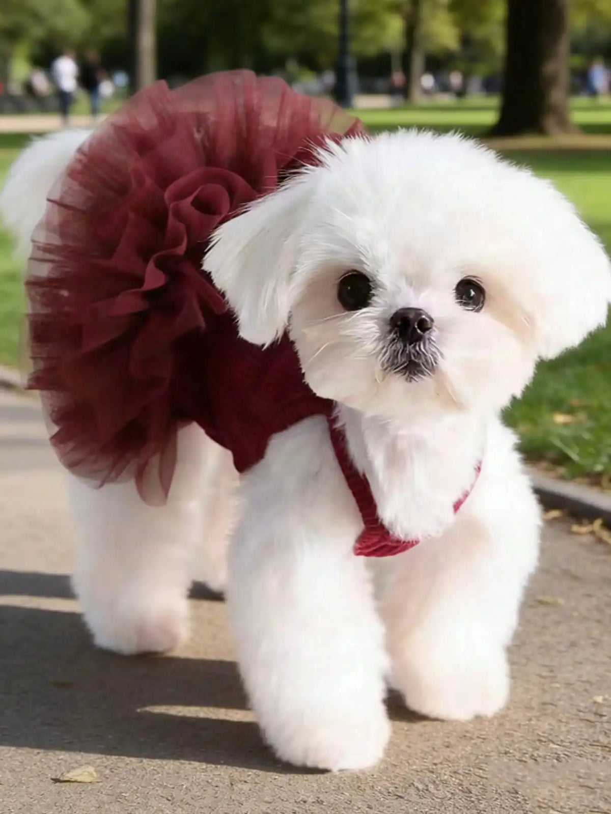 Ballet Tulle Princess Dress for Small Dogs and Cats