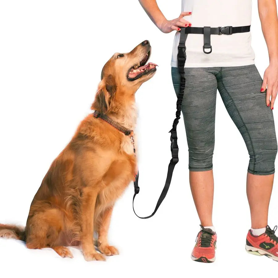 Hands Free Dog Leash Adjustable For Running And Training Made In USA