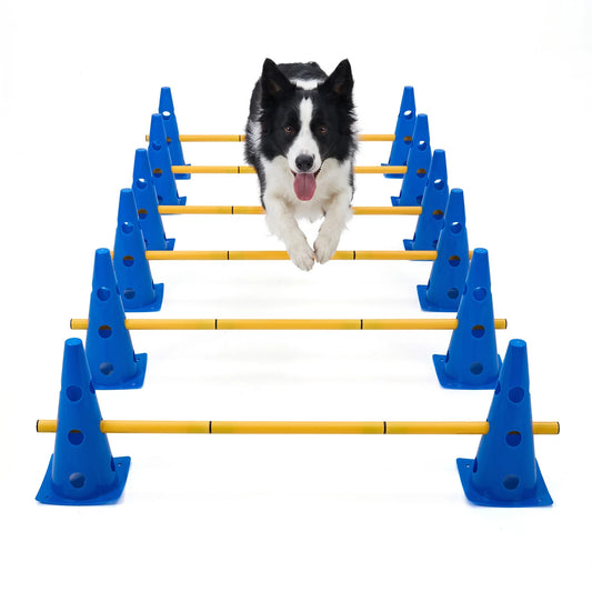 Dog Agility Training Set with Cones and Hurdles