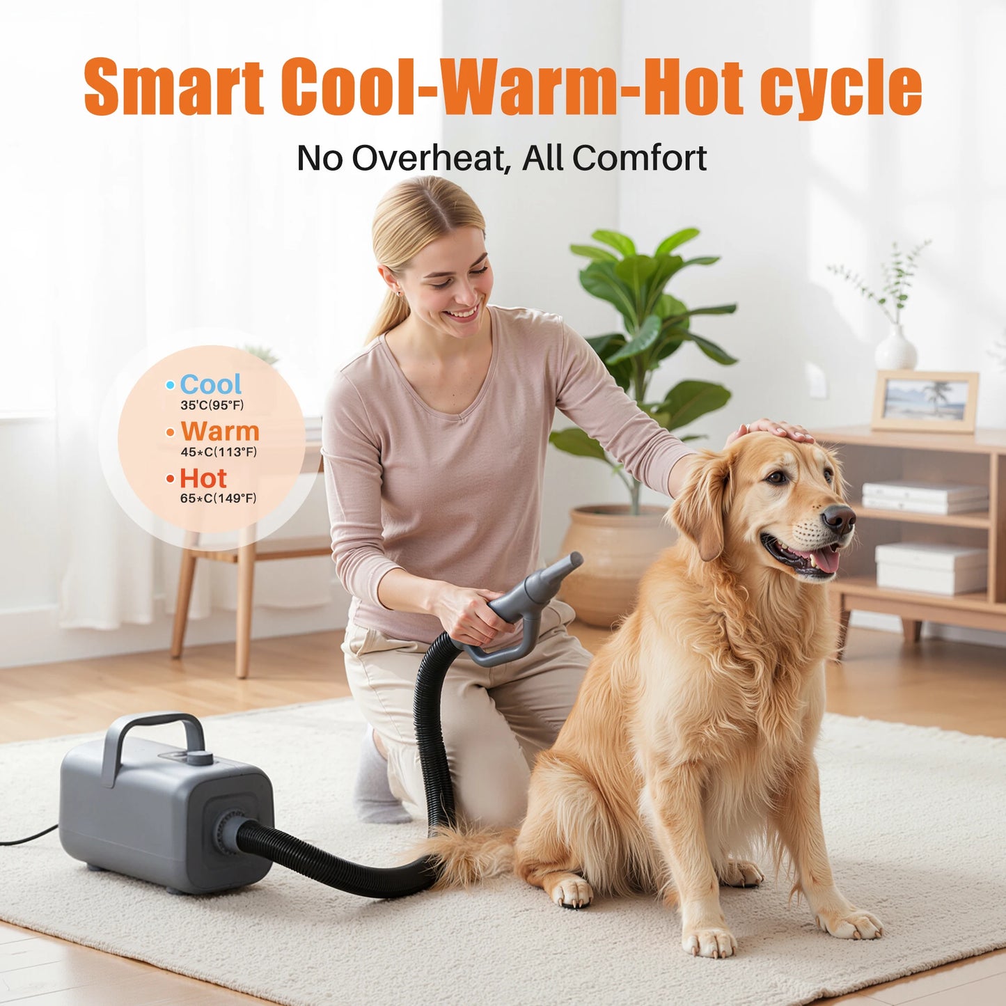 JHK 5-piece Pet Blow Dryer Grooming Vacuum Kit  4 Nozzles 6.5 FT Cord for Low Noise Dog Hair Dryer with Adjustable Cool-Warm-Hot