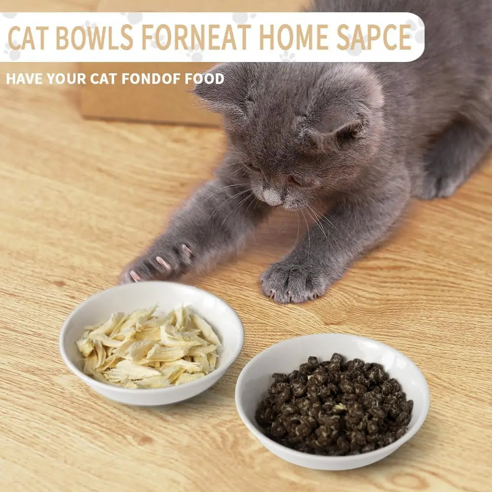 Ceramic Cat Bowls Pack Non Slip Microwave Safe Whisker Fatigue