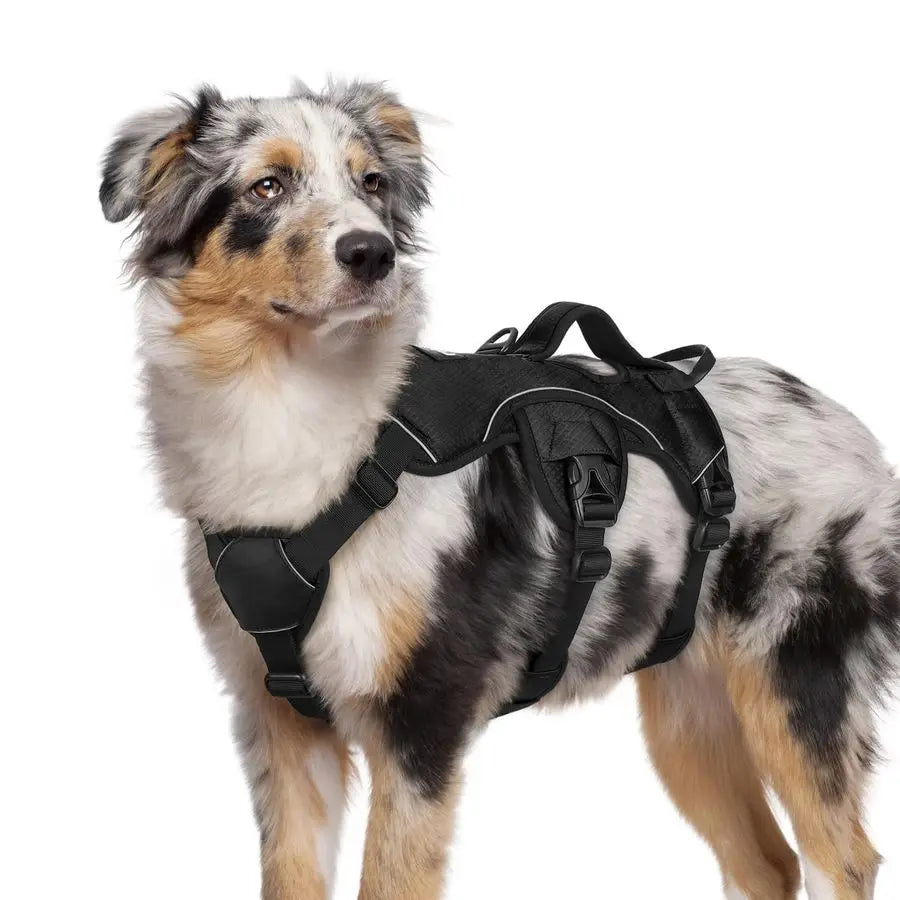 Escape Proof Dog Harness With Soft Padding And Reflective Straps