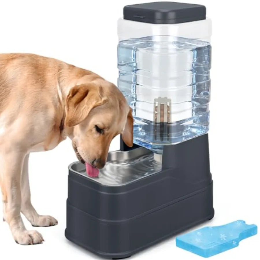 2.2 Gallon Pet Automatic Dog Water Dispenser Cat Gravity Waterer Feeder with Stainless Steel Bowl Large Capacity Puppy Feeding