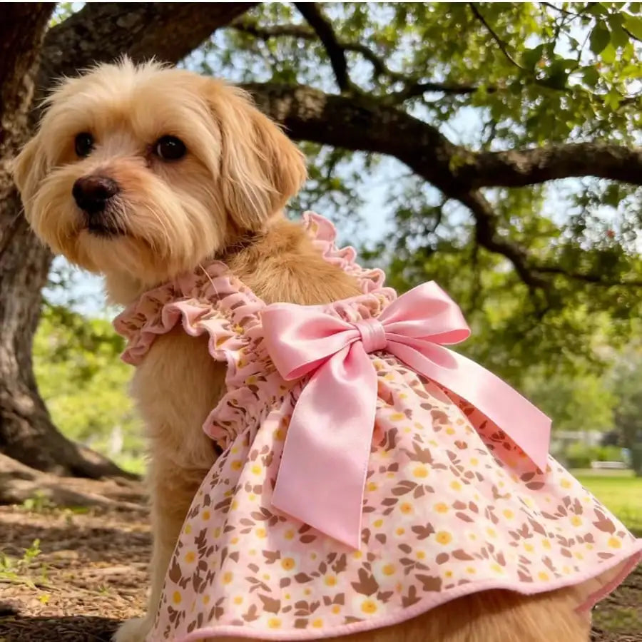 Ditsy Floral Sleeveless Dress for Small Dogs and Cats