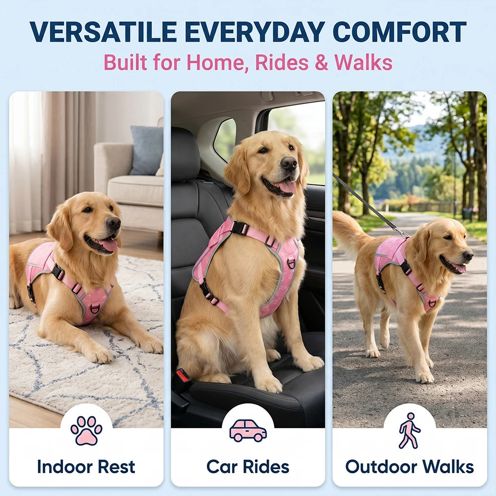 Cooling Vest Pet Cool During Walks Or At Home Features Replaceable Cooling Pack For Alaskan Malamutes, Golden, Border Outdoors