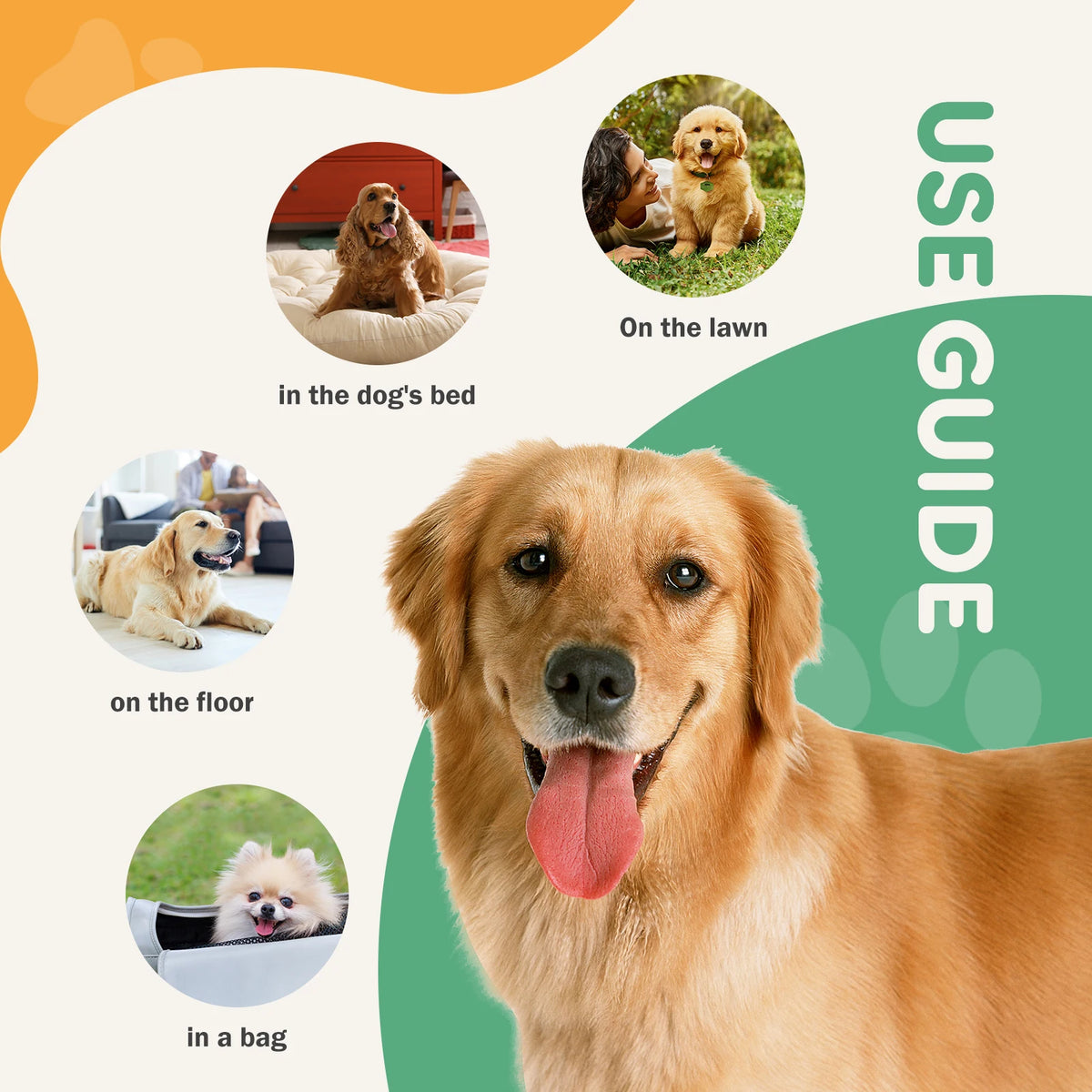 Disposable Dog Training Pee Pads, 22 x 22 in