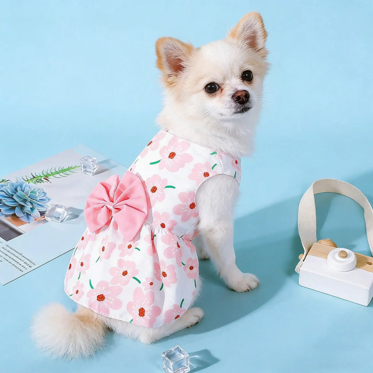 Floral and Fruit Print Dress for Cats and Dogs