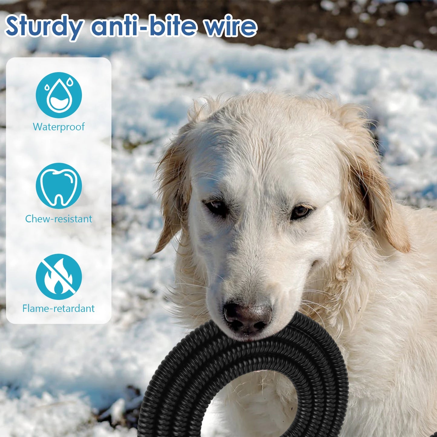 Outdoor Heated Pet Water Bowl 3.2 L Anti Freeze For Pets