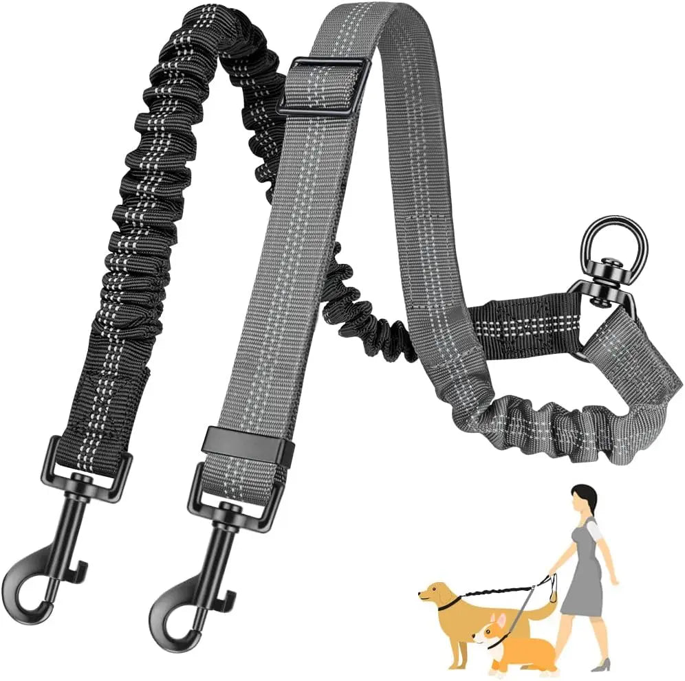 Dual Dog Leash Attachment For Training With Shock Absorbing Bungee