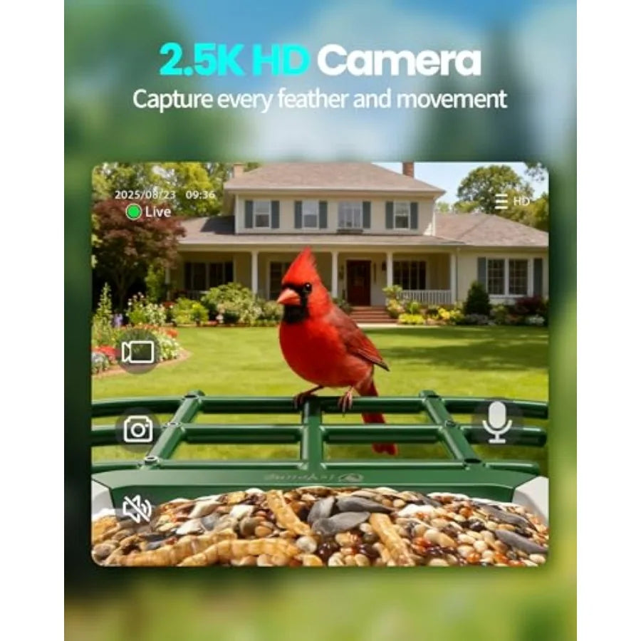 Smart Bird Feeder with Camera, 2.5K QHD, AI Identify 16000+ Birds, Dual Solar Panel, AI Auto-Capture and Motion Detection, IP