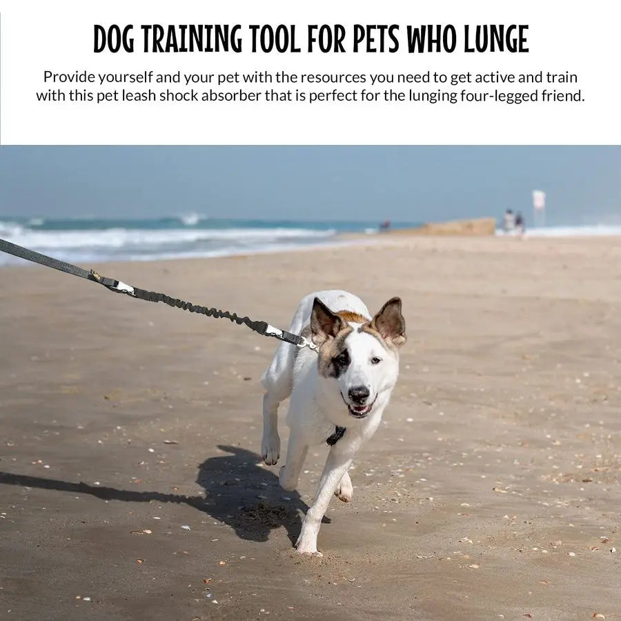 Hands Free Dog Leash Adjustable For Running And Training Made In USA