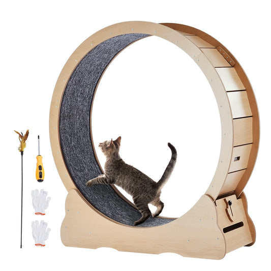 Wooden Cat Exercise Wheel with Removable Carpet Track