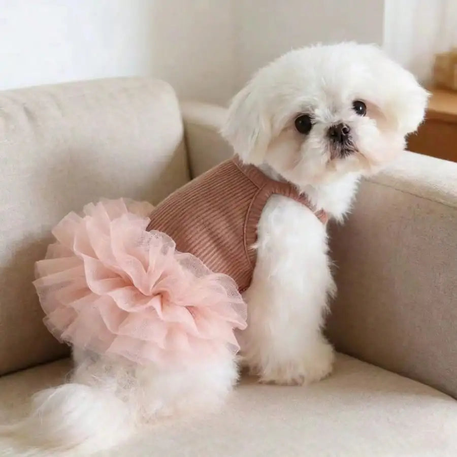 Ballet Tulle Princess Dress for Small Dogs and Cats