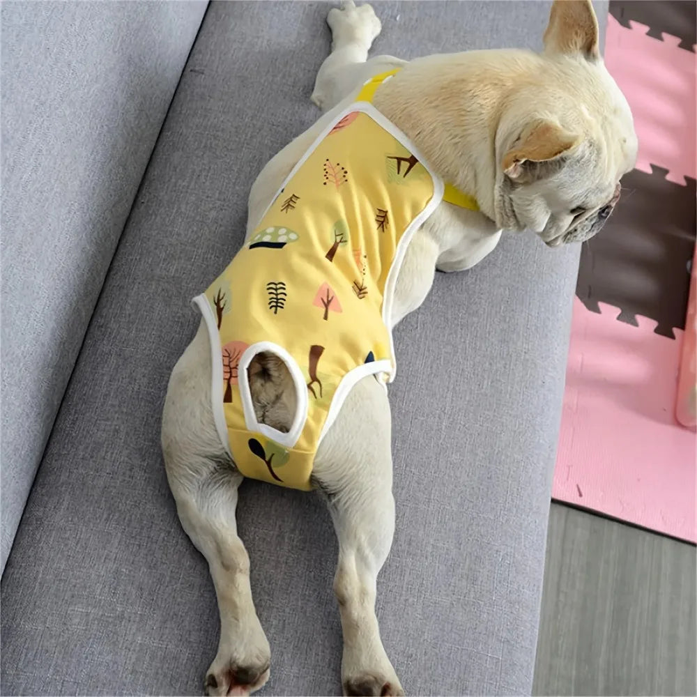 Reusable Female Dog Diapers Washable Adjustable Breathable Mesh Pants with Buckle for Heat Period Incontinence