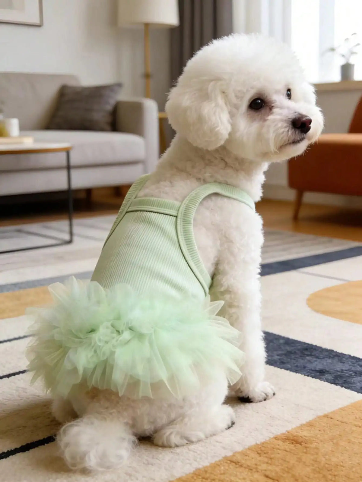 Ballet Tulle Princess Dress for Small Dogs and Cats