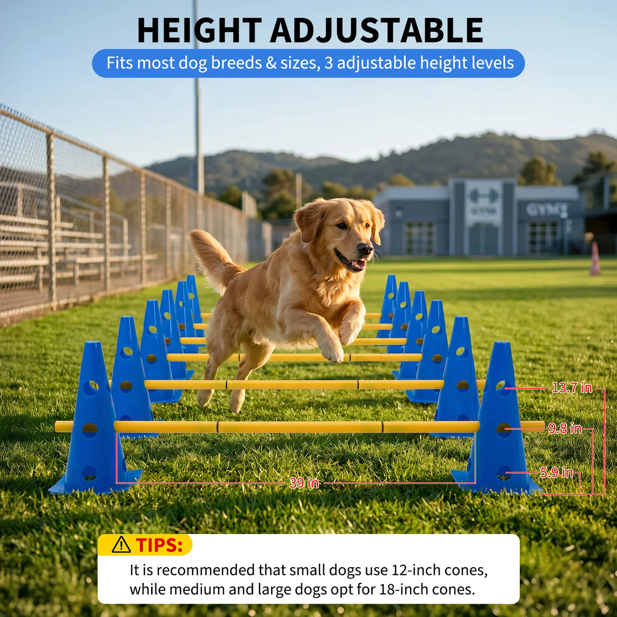 Dog Agility Training Set with Cones and Hurdles