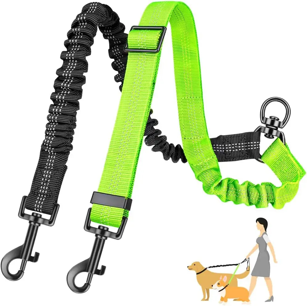 Dual Dog Leash Attachment For Training With Shock Absorbing Bungee