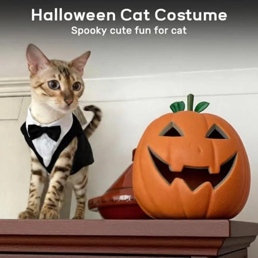 Cat Tuxedo Suit Formal Wear with Bow Tie, Soft Skin-Friendly Cat Costumes for Cats Only, Elegant Outfit for Male Female Cats, P